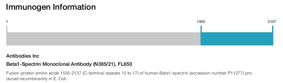 Beta1-Spectrin Monoclonal Antibody (N385/21), FL650