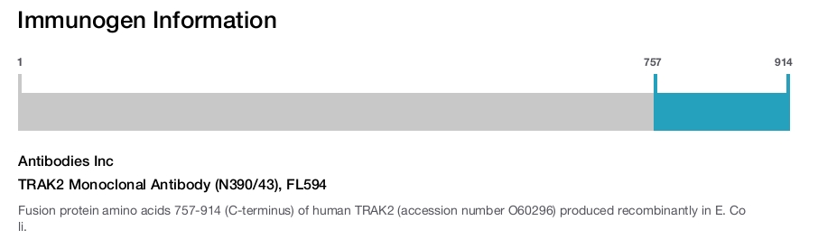 TRAK2 Monoclonal Antibody (N390/43), FL594