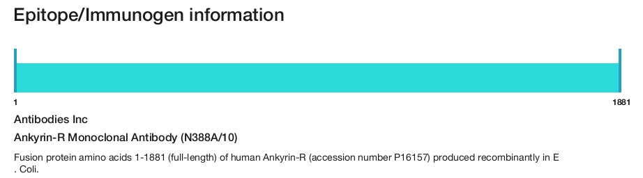 Ankyrin-R Monoclonal Antibody (N388A/10)