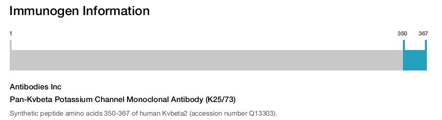 Pan-Kvbeta Potassium Channel Monoclonal Antibody (K25/73)