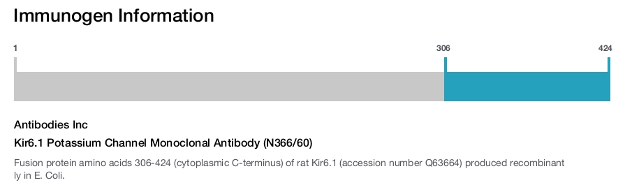 Kir6.1 Potassium Channel Monoclonal Antibody (N366/60)