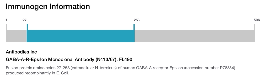 GABA-A-R-Epsilon Monoclonal Antibody (N413/67), FL490
