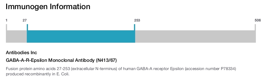 GABA-A-R-Epsilon Monoclonal Antibody (N413/67)
