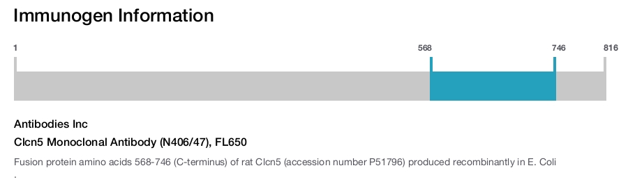 Clcn5 Monoclonal Antibody (N406/47), FL650