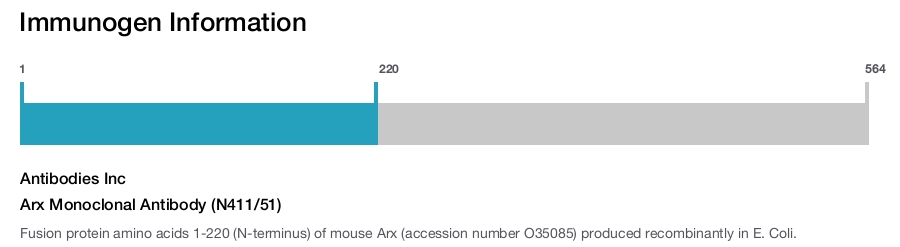 Arx Monoclonal Antibody (N411/51)