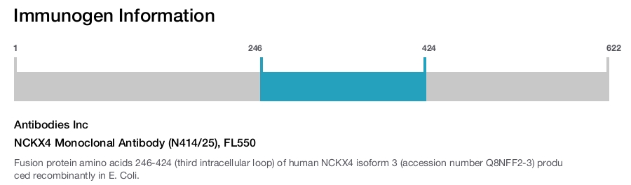 NCKX4 Monoclonal Antibody (N414/25), FL550