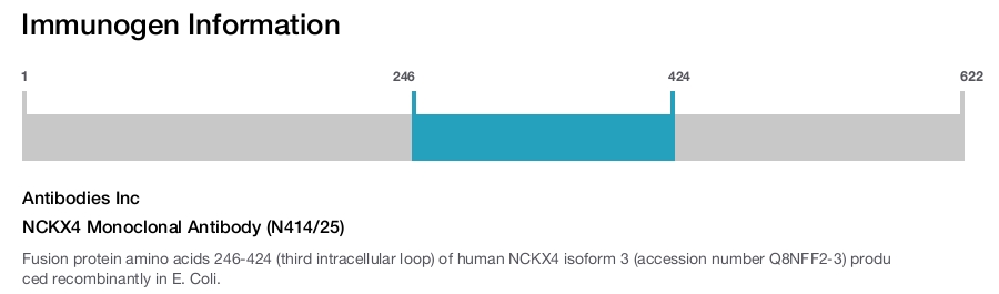 NCKX4 Monoclonal Antibody (N414/25)