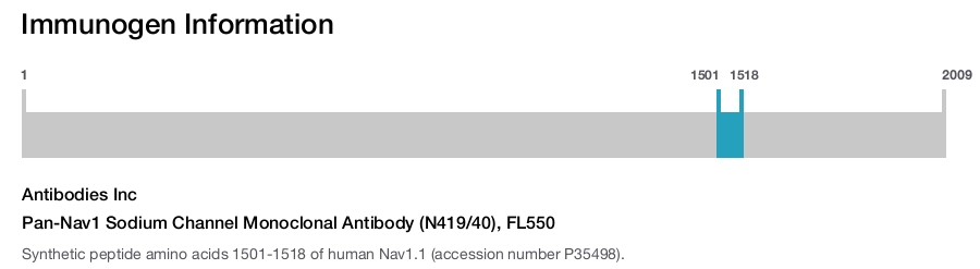 Pan-Nav1 Sodium Channel Monoclonal Antibody (N419/40), FL550