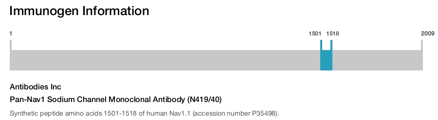 Pan-Nav1 Sodium Channel Monoclonal Antibody (N419/40)