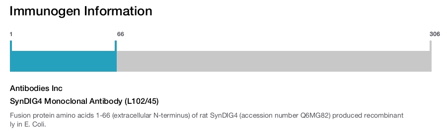 SynDIG4 Monoclonal Antibody (L102/45)