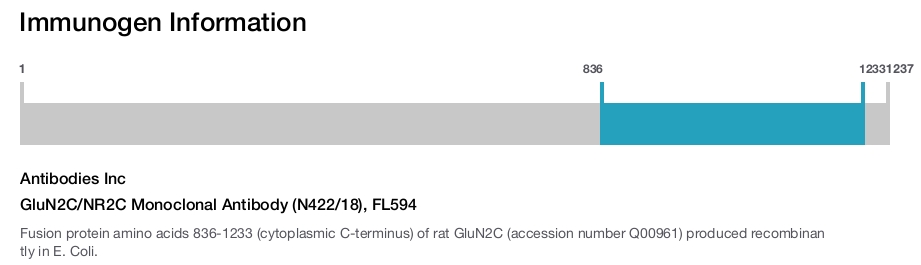 GluN2C/NR2C Monoclonal Antibody (N422/18), FL594