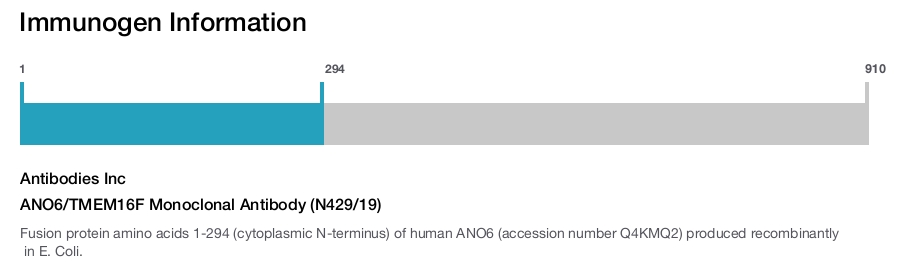ANO6/TMEM16F Monoclonal Antibody (N429/19)