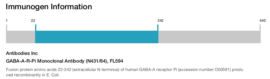 GABA-A-R-Pi Monoclonal Antibody (N431/64), FL594