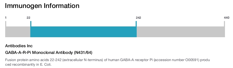 GABA-A-R-Pi Monoclonal Antibody (N431/64)