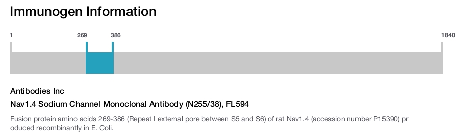 Nav1.4 Sodium Channel Monoclonal Antibody (N255/38), FL594