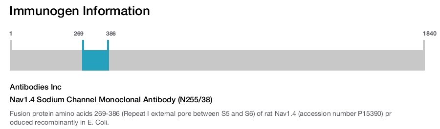 Nav1.4 Sodium Channel Monoclonal Antibody (N255/38)