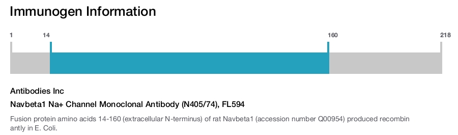 Navbeta1 Na+ Channel Monoclonal Antibody (N405/74), FL594