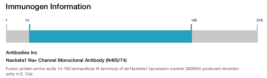 Navbeta1 Na+ Channel Monoclonal Antibody (N405/74)
