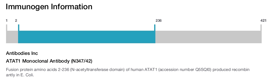 ATAT1 Monoclonal Antibody (N347/42)
