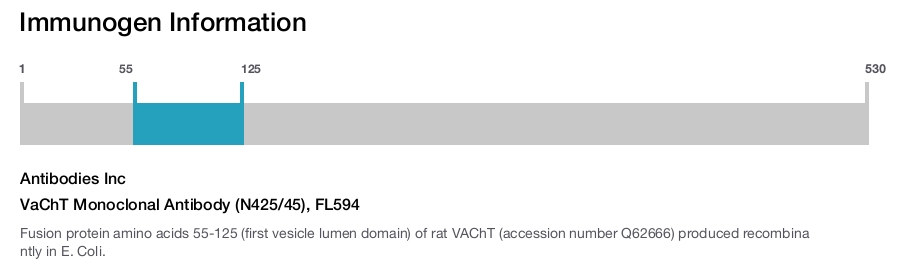 VaChT Monoclonal Antibody (N425/45), FL594