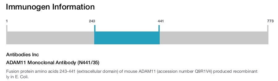 ADAM11 Monoclonal Antibody (N441/35)