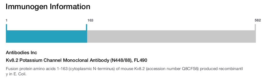 Kv8.2 Potassium Channel Monoclonal Antibody (N448/88), FL490