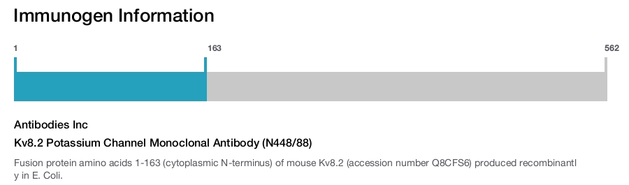 Kv8.2 Potassium Channel Monoclonal Antibody (N448/88)