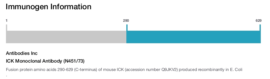 ICK Monoclonal Antibody (N451/73)