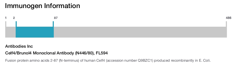Celf4/Brunol4 Monoclonal Antibody (N446/80), FL594