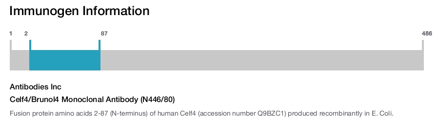 Celf4/Brunol4 Monoclonal Antibody (N446/80)