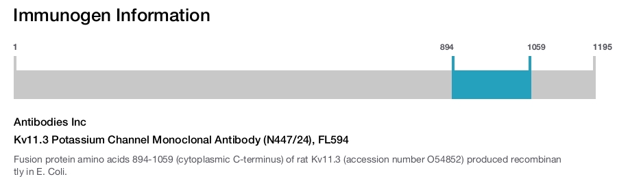 Kv11.3 Potassium Channel Monoclonal Antibody (N447/24), FL594