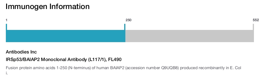 IRSp53/BAIAP2 Monoclonal Antibody (L117/1), FL490