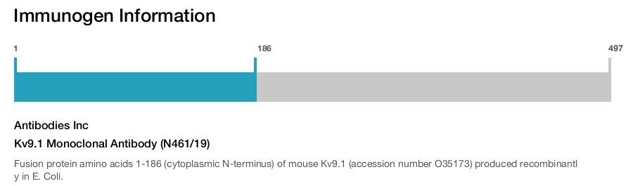 Kv9.1 Monoclonal Antibody (N461/19)