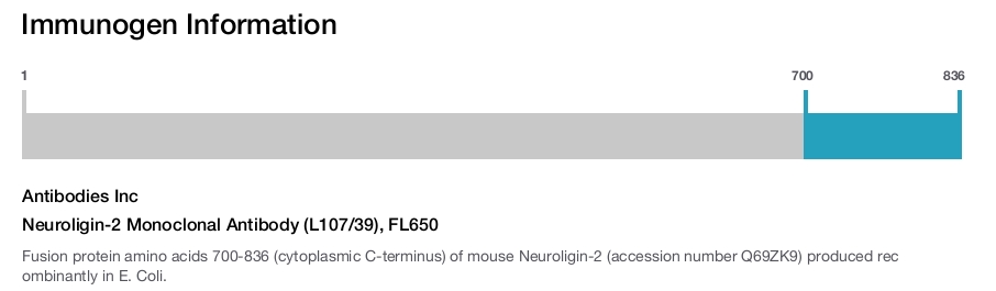 Neuroligin-2 Monoclonal Antibody (L107/39), FL650
