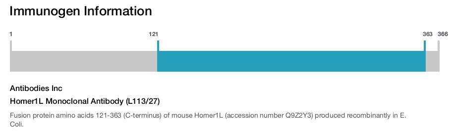 Homer1L Monoclonal Antibody (L113/27)