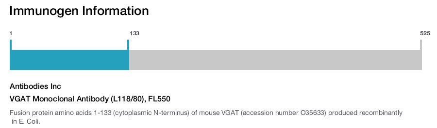 VGAT Monoclonal Antibody (L118/80), FL550
