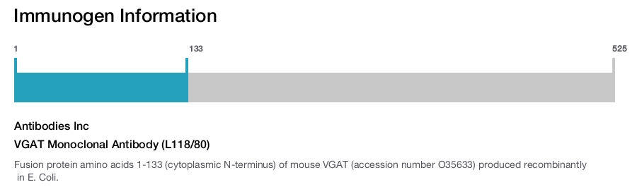 VGAT Monoclonal Antibody (L118/80)