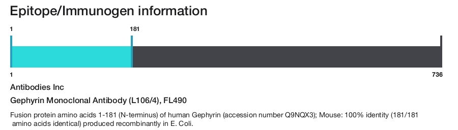 Gephyrin Monoclonal Antibody (L106/4), FL490