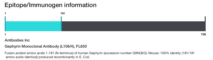 Gephyrin Monoclonal Antibody (L106/4), FL650