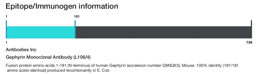 Gephyrin Monoclonal Antibody (L106/4)