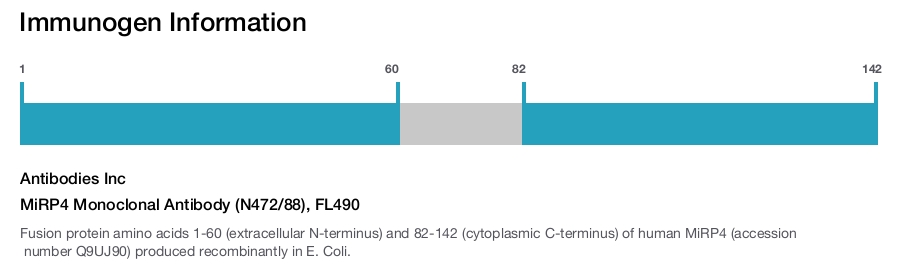 MiRP4 Monoclonal Antibody (N472/88), FL490