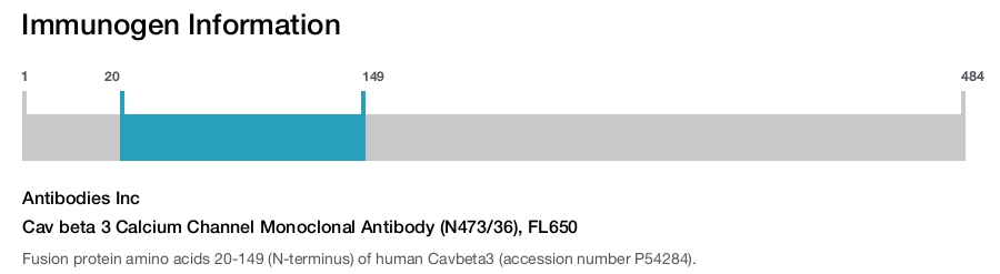 Cav beta 3 Calcium Channel Monoclonal Antibody (N473/36), FL650
