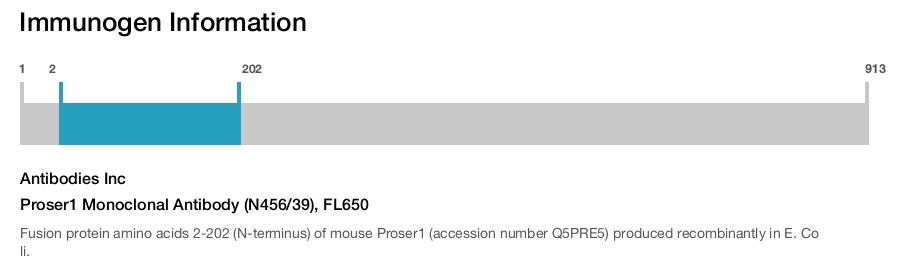 Proser1 Monoclonal Antibody (N456/39), FL650