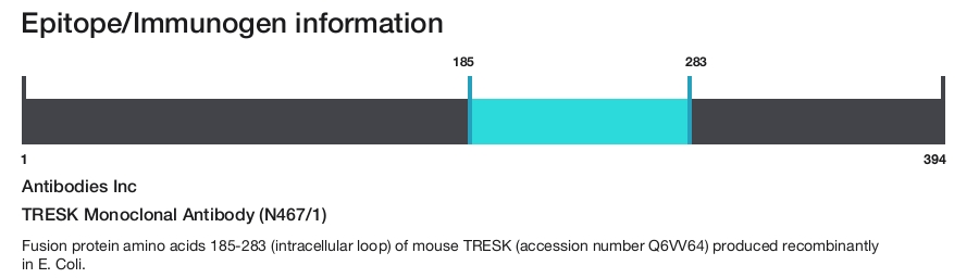 TRESK Monoclonal Antibody (N467/1)