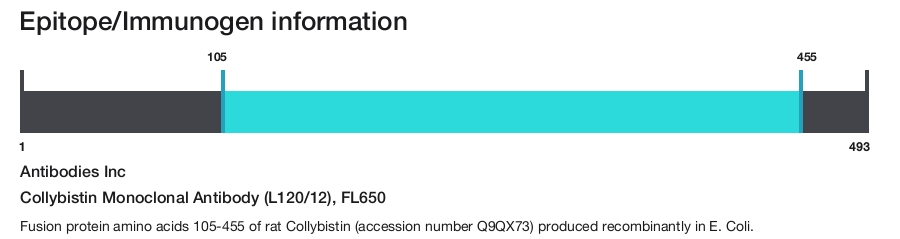 Collybistin Monoclonal Antibody (L120/12), FL650