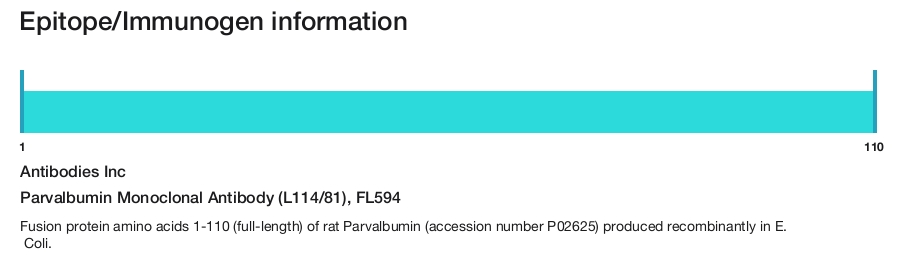 Parvalbumin Monoclonal Antibody (L114/81), FL594