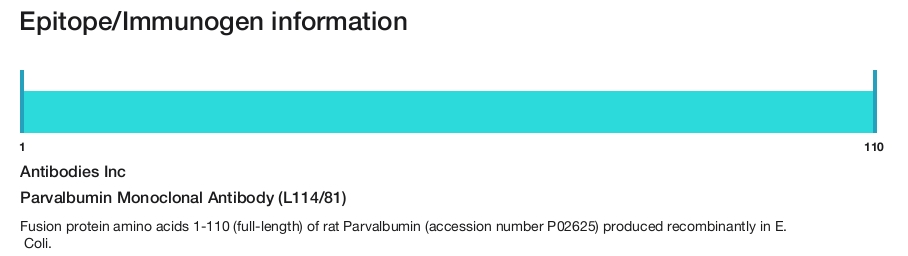 Parvalbumin Monoclonal Antibody (L114/81)