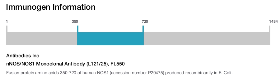 nNOS/NOS1 Monoclonal Antibody (L121/25), FL550
