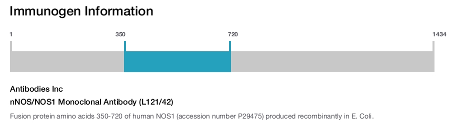 nNOS/NOS1 Monoclonal Antibody (L121/42)