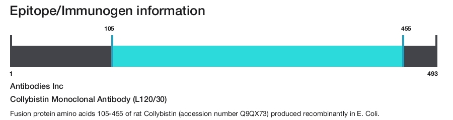 Collybistin Monoclonal Antibody (L120/30)